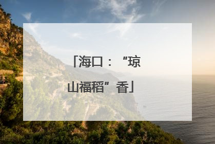 海口：“琼山福稻”香