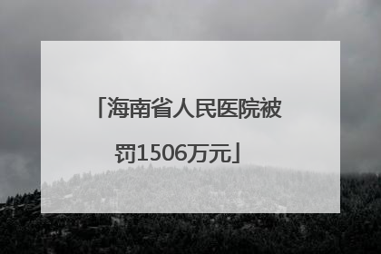 海南省人民医院被罚1506万元