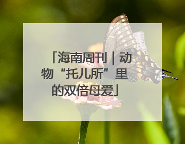 海南周刊｜动物“托儿所”里的双倍母爱
