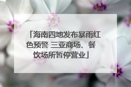 海南四地发布暴雨红色预警 三亚商场、餐饮场所暂停营业