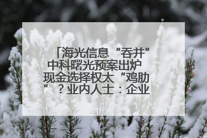 海光信息“吞并”中科曙光预案出炉 现金选择权太“鸡肋”？业内人士：企业不想大量现金流出