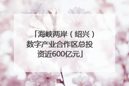 海峡两岸（绍兴）数字产业合作区总投资近600亿元