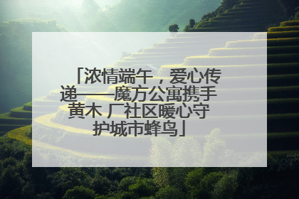 浓情端午，爱心传递——魔方公寓携手黄木 厂社区暖心守护城市蜂鸟