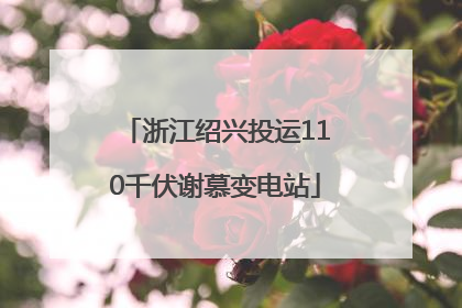 浙江绍兴投运110千伏谢慕变电站