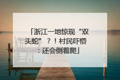 浙江一地惊现“双头蛇”？！村民吓懵：还会倒着爬