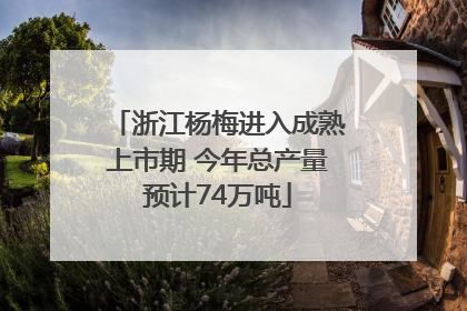 浙江杨梅进入成熟上市期 今年总产量预计74万吨
