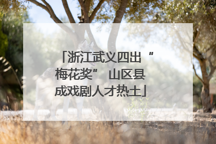 浙江武义四出“梅花奖” 山区县成戏剧人才热土