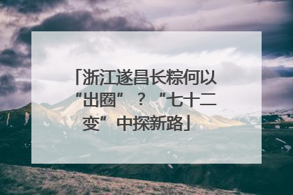 浙江遂昌长粽何以“出圈”？“七十二变”中探新路