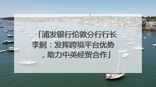 浦发银行伦敦分行行长李舸：发挥跨境平台优势，助力中英经贸合作