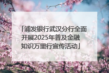 浦发银行武汉分行全面开展2025年普及金融知识万里行宣传活动