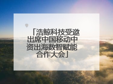浩鲸科技受邀出席中国移动中资出海数智赋能合作大会