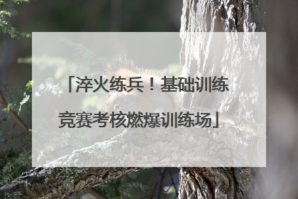 淬火练兵！基础训练竞赛考核燃爆训练场