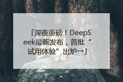 深夜重磅！DeepSeek最新发布，首批“试用体验”出炉→