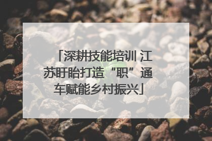 深耕技能培训 江苏盱眙打造“职”通车赋能乡村振兴
