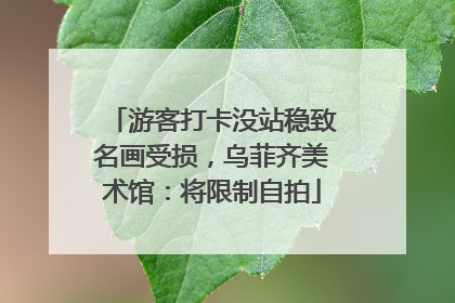 游客打卡没站稳致名画受损，乌菲齐美术馆：将限制自拍