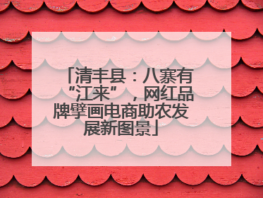 清丰县：八寨有“江来”，网红品牌擘画电商助农发展新图景