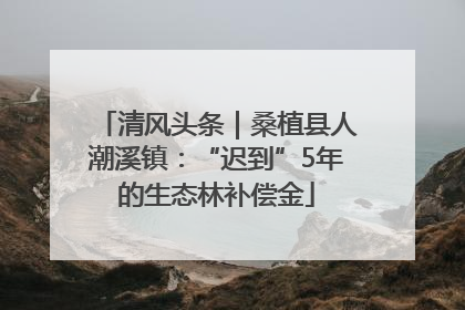 清风头条｜桑植县人潮溪镇：“迟到”5年的生态林补偿金