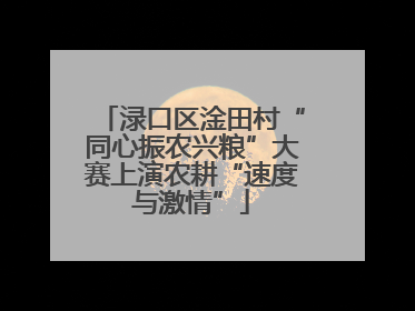 渌口区淦田村“同心振农兴粮”大赛上演农耕“速度与激情”