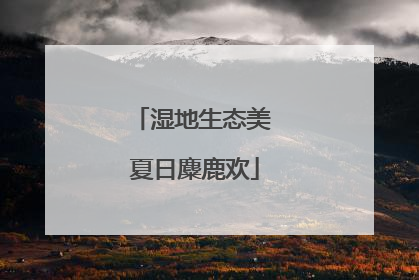 湿地生态美 夏日麋鹿欢