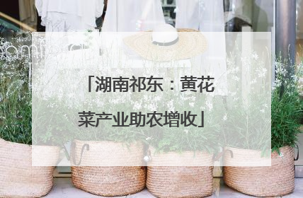 湖南祁东：黄花菜产业助农增收