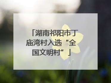 湖南祁阳市丁庙湾村入选“全国文明村”