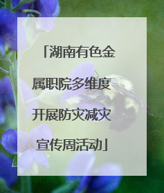 湖南有色金属职院多维度开展防灾减灾宣传周活动