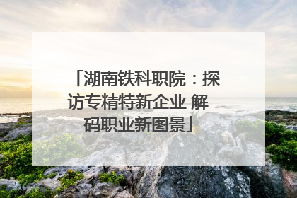 湖南铁科职院：探访专精特新企业 解码职业新图景