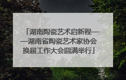 湖南陶瓷艺术启新程——湖南省陶瓷艺术家协会换届工作大会圆满举行