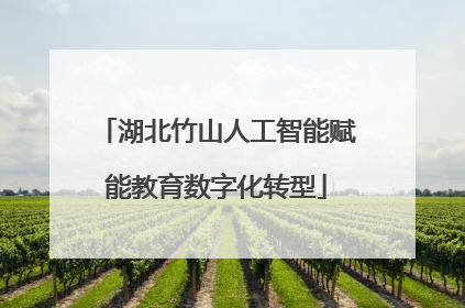 湖北竹山人工智能赋能教育数字化转型