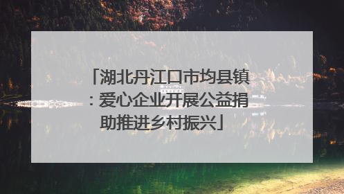 湖北丹江口市均县镇：爱心企业开展公益捐助推进乡村振兴