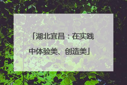 湖北宜昌：在实践中体验美、创造美