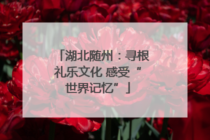 湖北随州：寻根礼乐文化 感受“世界记忆”
