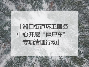 湘口街道环卫服务中心开展“僵尸车”专项清理行动