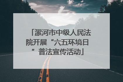 漯河市中级人民法院开展“六五环境日”普法宣传活动