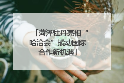 菏泽牡丹亮相“哈洽会”撬动国际合作新机遇