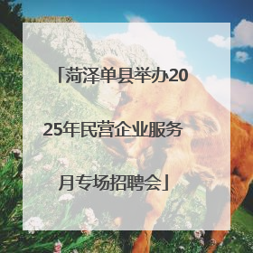 菏泽单县举办2025年民营企业服务月专场招聘会