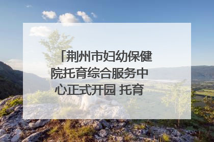 荆州市妇幼保健院托育综合服务中心正式开园 托育宣传月同步启动
