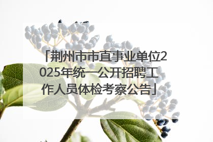 荆州市市直事业单位2025年统一公开招聘工作人员体检考察公告