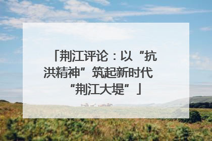 荆江评论：以“抗洪精神”筑起新时代“荆江大堤”