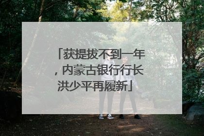 获提拔不到一年，内蒙古银行行长洪少平再履新