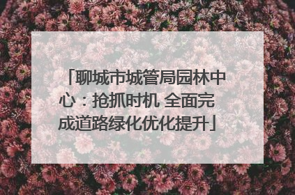 聊城市城管局园林中心：抢抓时机 全面完成道路绿化优化提升