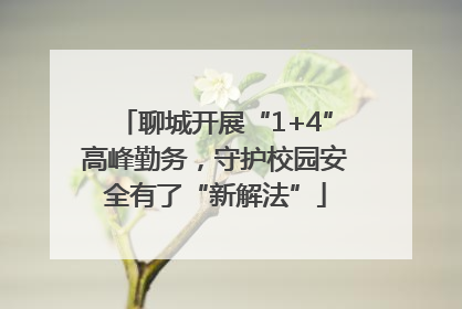 聊城开展“1+4”高峰勤务，守护校园安全有了“新解法”