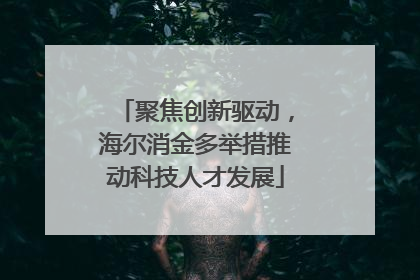 聚焦创新驱动，海尔消金多举措推动科技人才发展