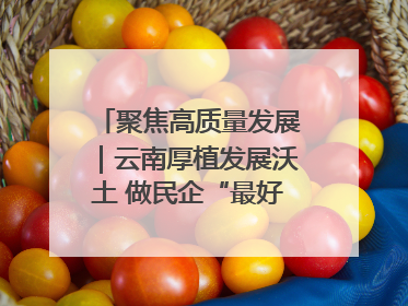 聚焦高质量发展｜云南厚植发展沃土 做民企“最好合伙人”