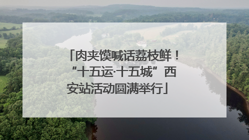 肉夹馍喊话荔枝鲜！“十五运·十五城”西安站活动圆满举行