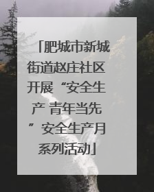 肥城市新城街道赵庄社区开展“安全生产 青年当先”安全生产月系列活动