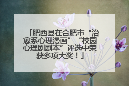 肥西县在合肥市“治愈系心理漫画”“校园心理剧剧本”评选中荣获多项大奖！