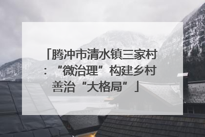 腾冲市清水镇三家村：“微治理”构建乡村善治“大格局”
