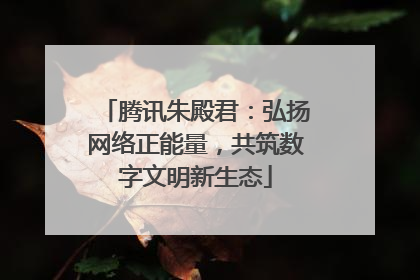 腾讯朱殿君：弘扬网络正能量，共筑数字文明新生态