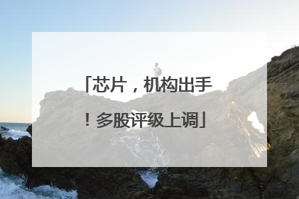 芯片，机构出手！多股评级上调